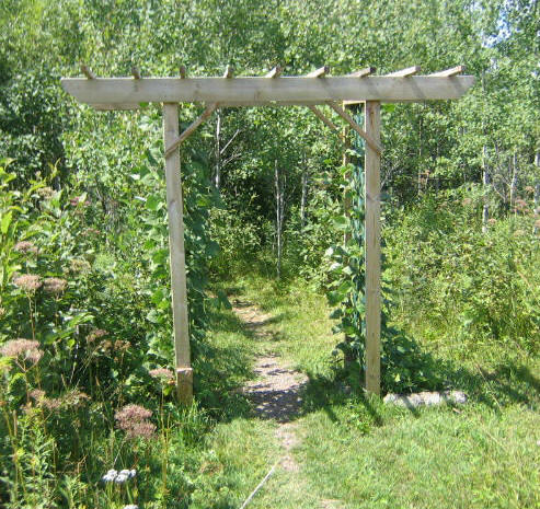 Arbor Building Free Plan Trellis